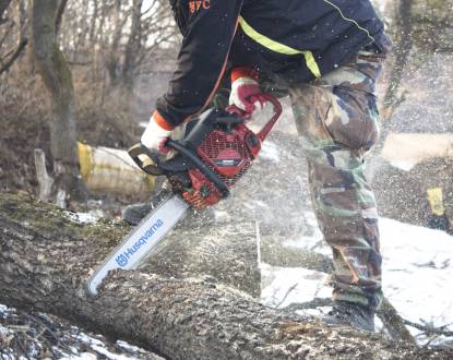 TREE REMOVAL
